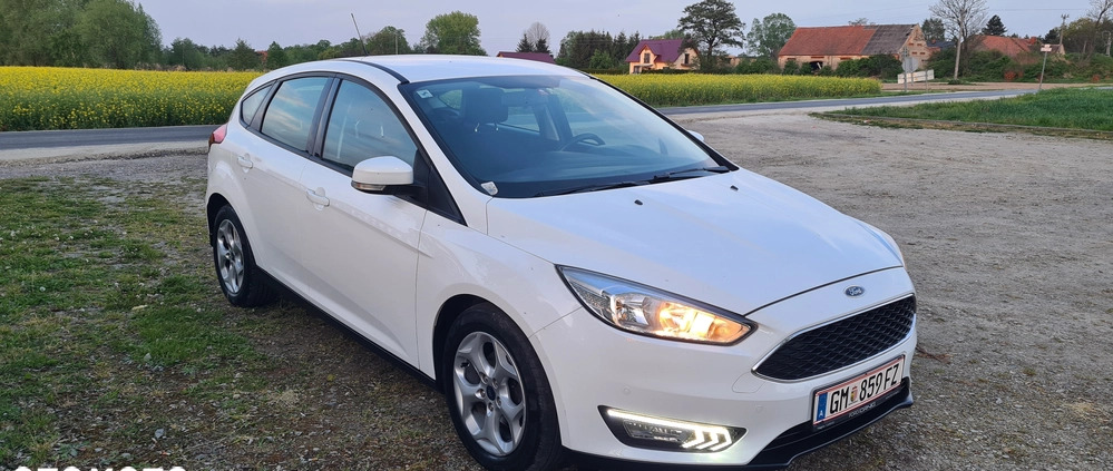 Ford Focus cena 31900 przebieg: 136500, rok produkcji 2016 z Paczków małe 137